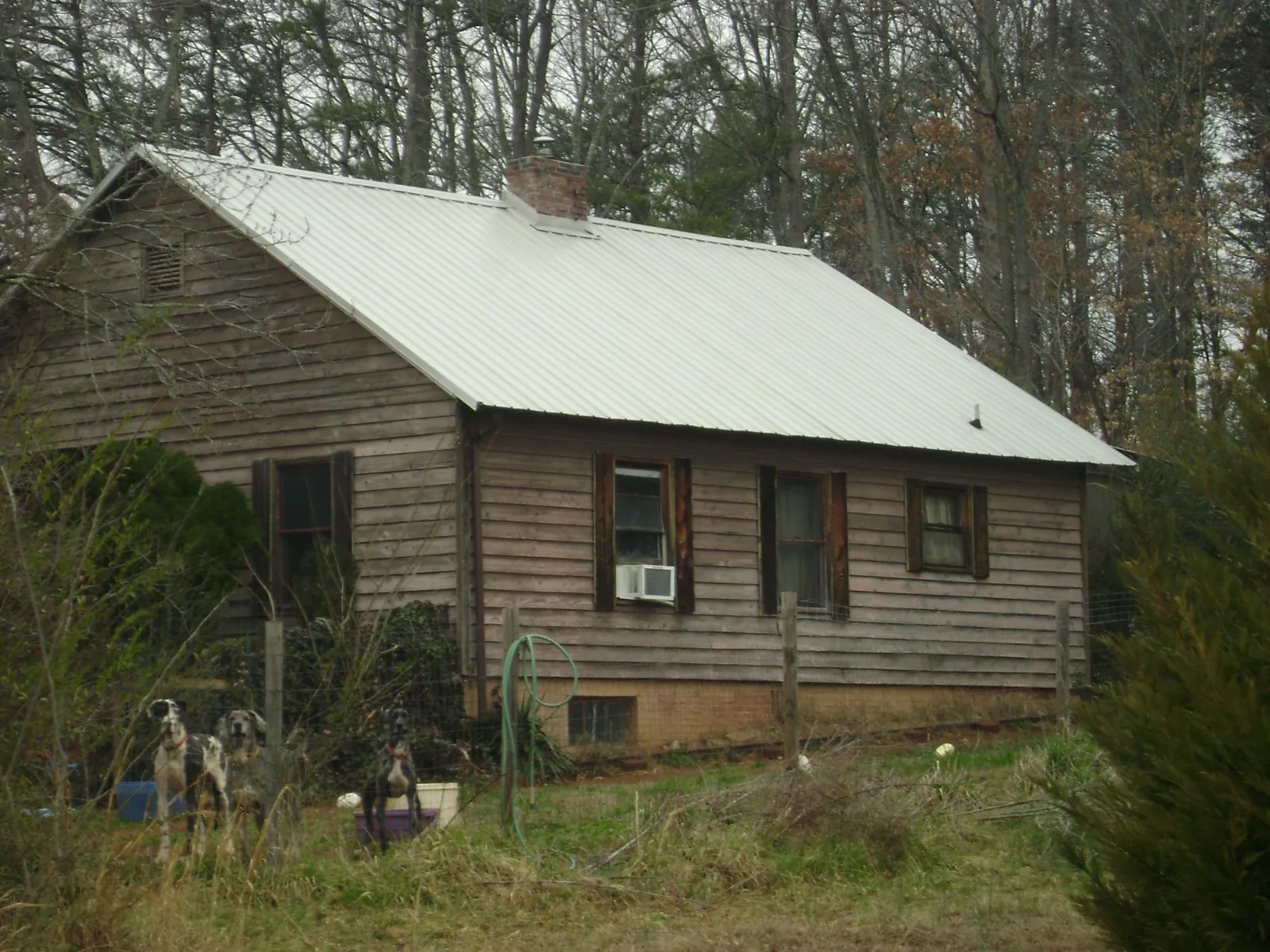 White metal roof on an old wood sided farmhouse, from a Asphalt Shingle Roof Repair job in Valhermoso Springs